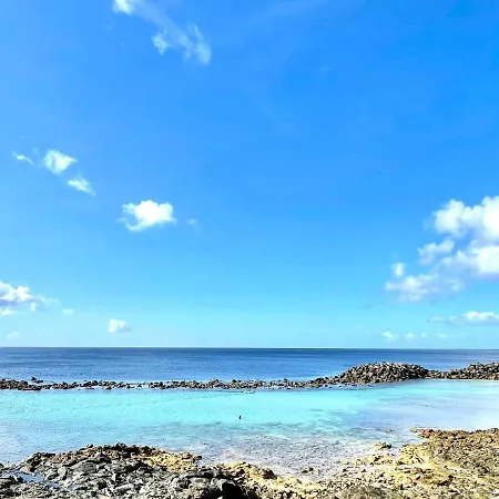 Cozy Apartment, Wifi, Terrace, Pool In Los Charcos Beach Apartment *